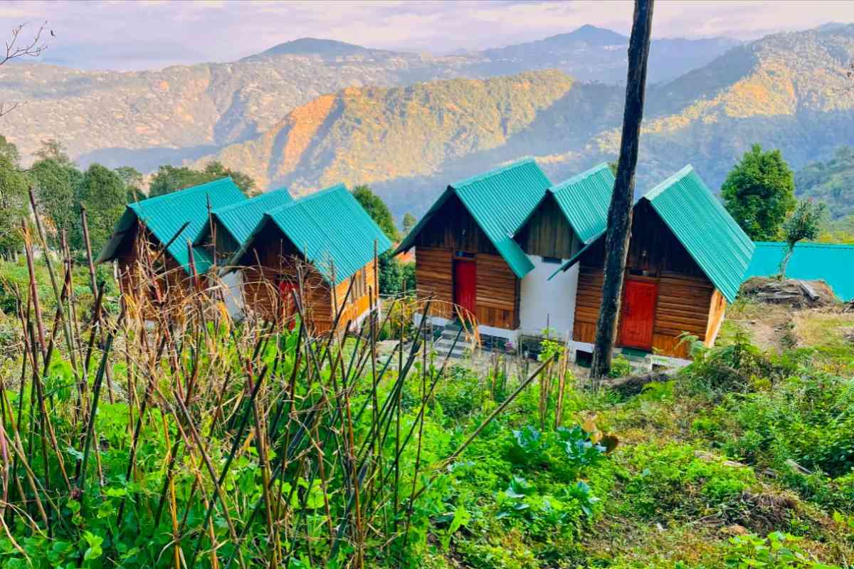 Forest Cabin - Kaffergaon