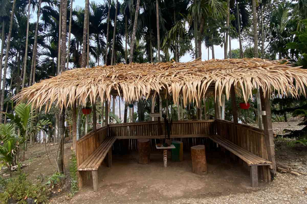 Nature Of Yelbong (Restaurant & Homestay) - Yelbong