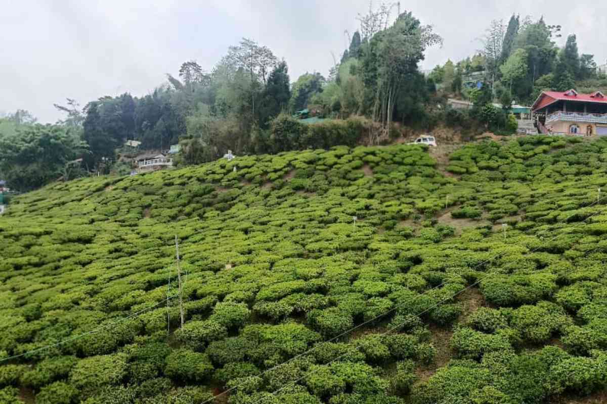 Gruham Homestay - Mirik