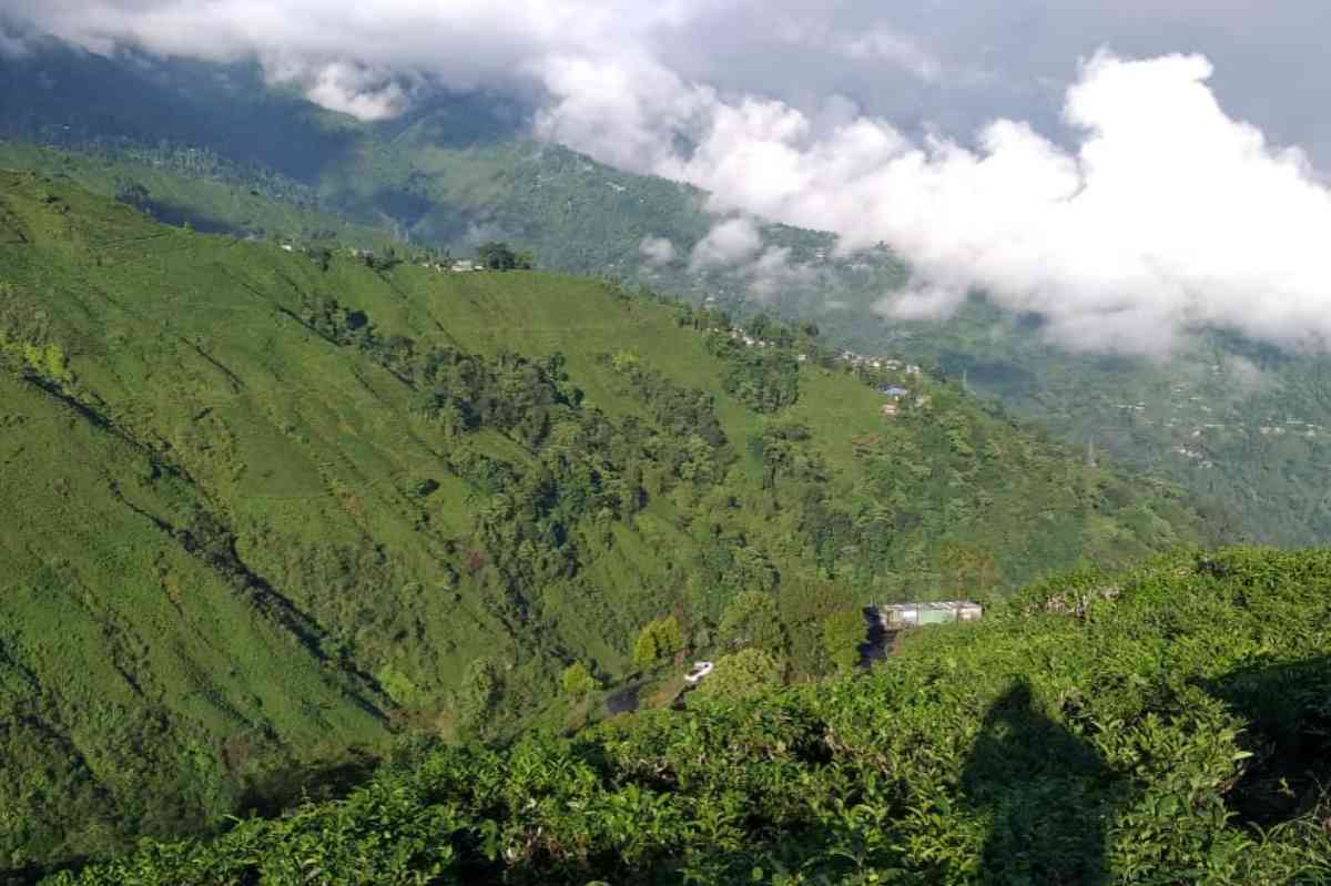 Happy Valley Homestay - Darjeeling