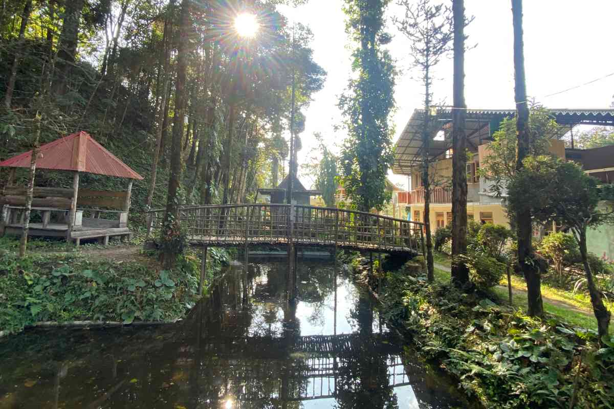 Bloom Field Homestay and Farmstay - Darjeeling