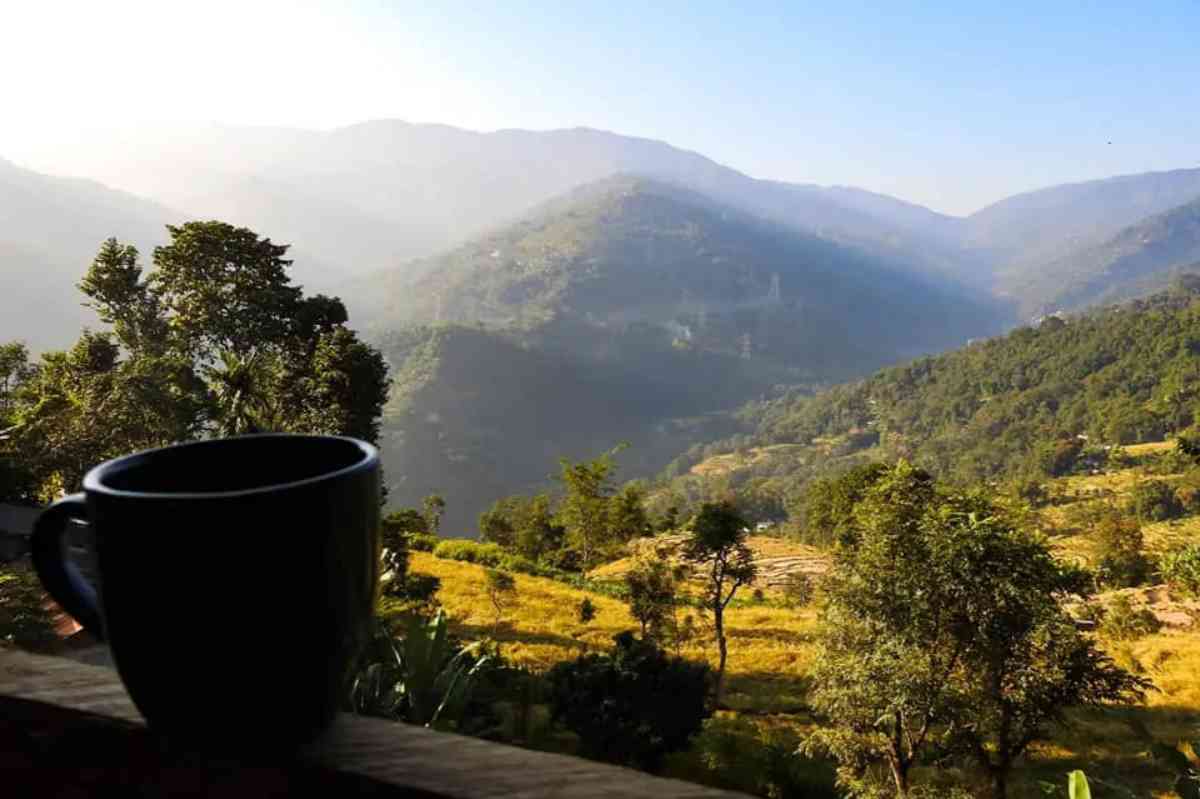 Chota Rangit Tari Homestay - Bijanbari (Darjeeling)