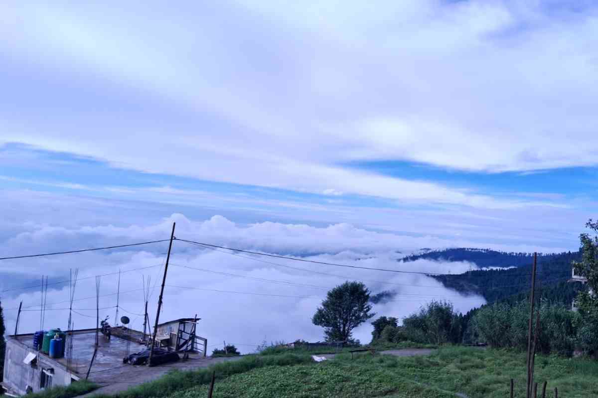 CHA-NAN Farmstay - Sukhia Pokhari (Darjeeling)