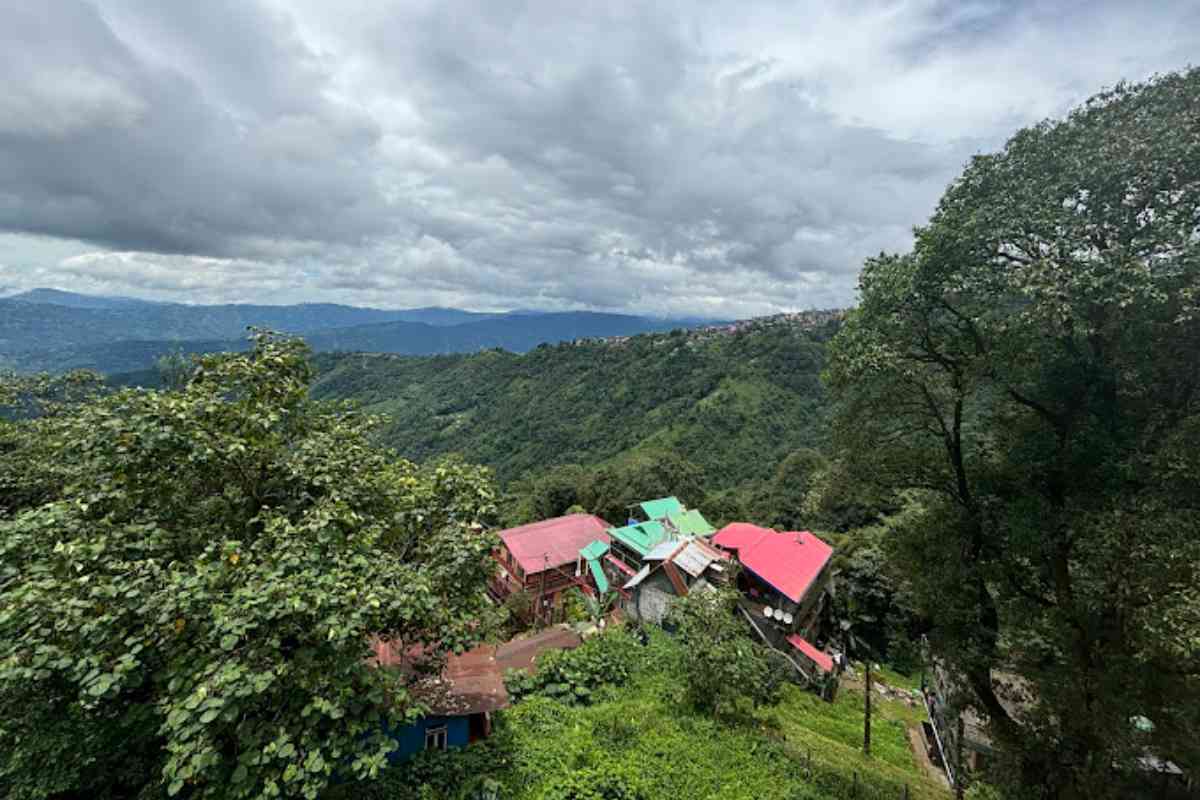 The Local Tribe Homestay