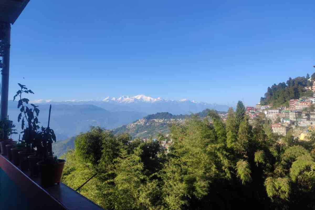 Springfield Stays Homestay - Darjeeling