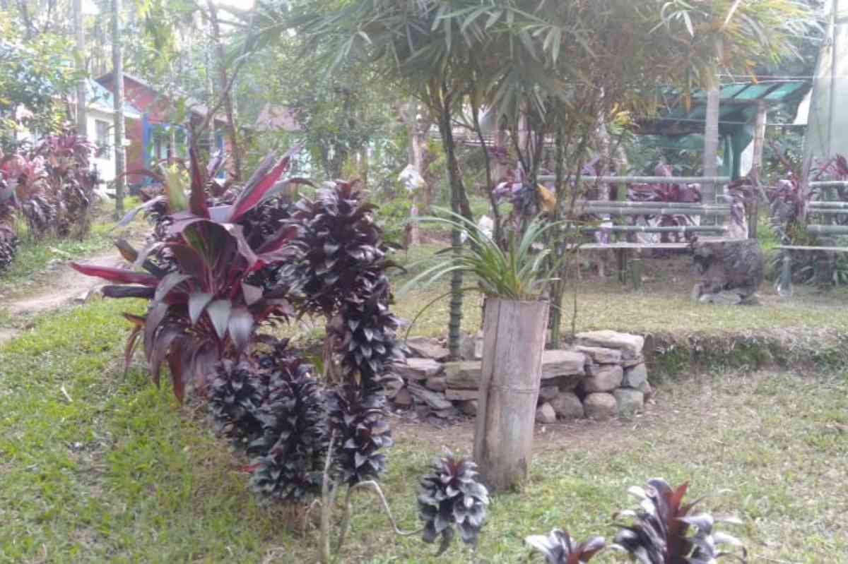 Molomulee Homestay - Gorubathan (Kalimpong)