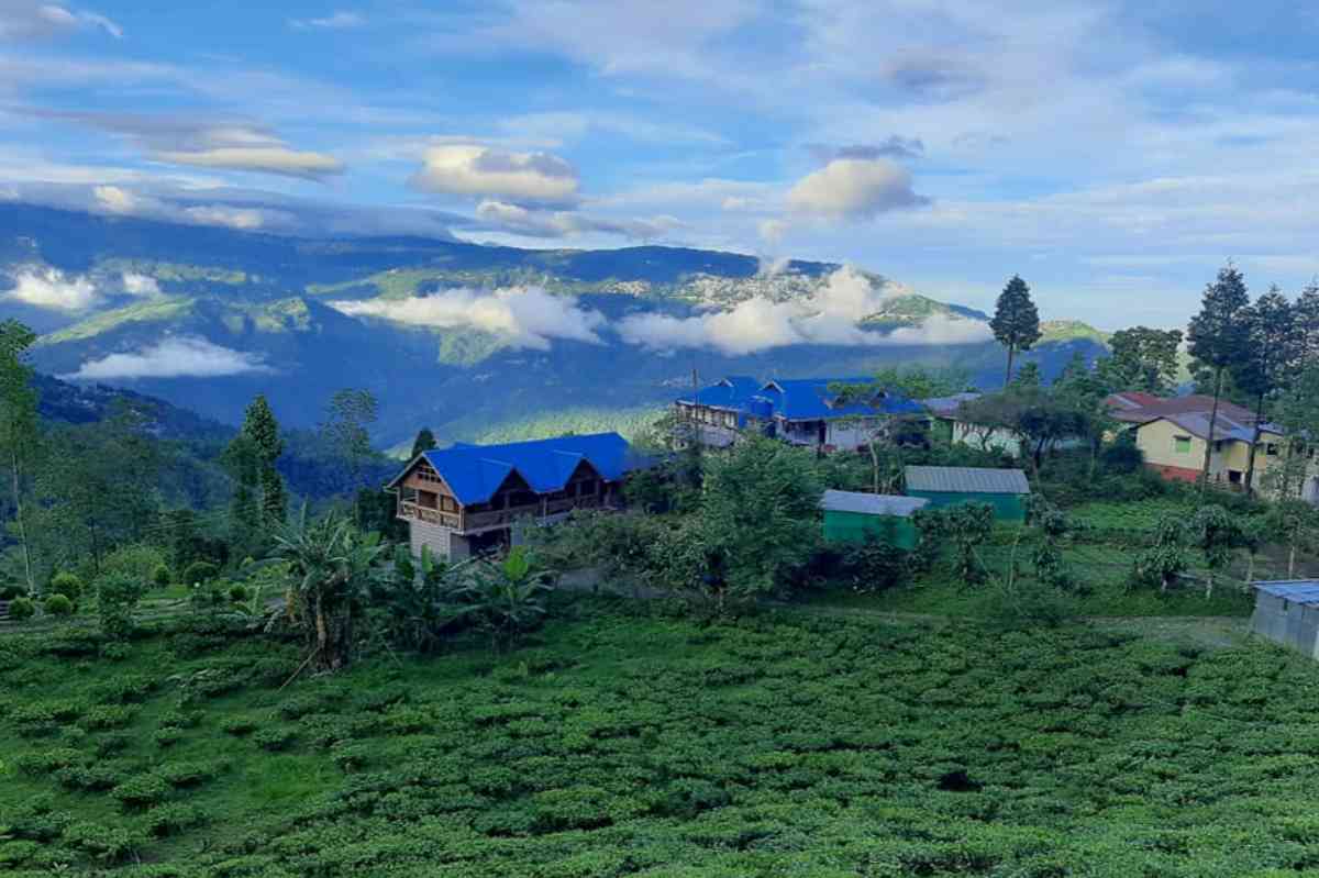 Rajeshwari Homestay - Soureni (Mirik)