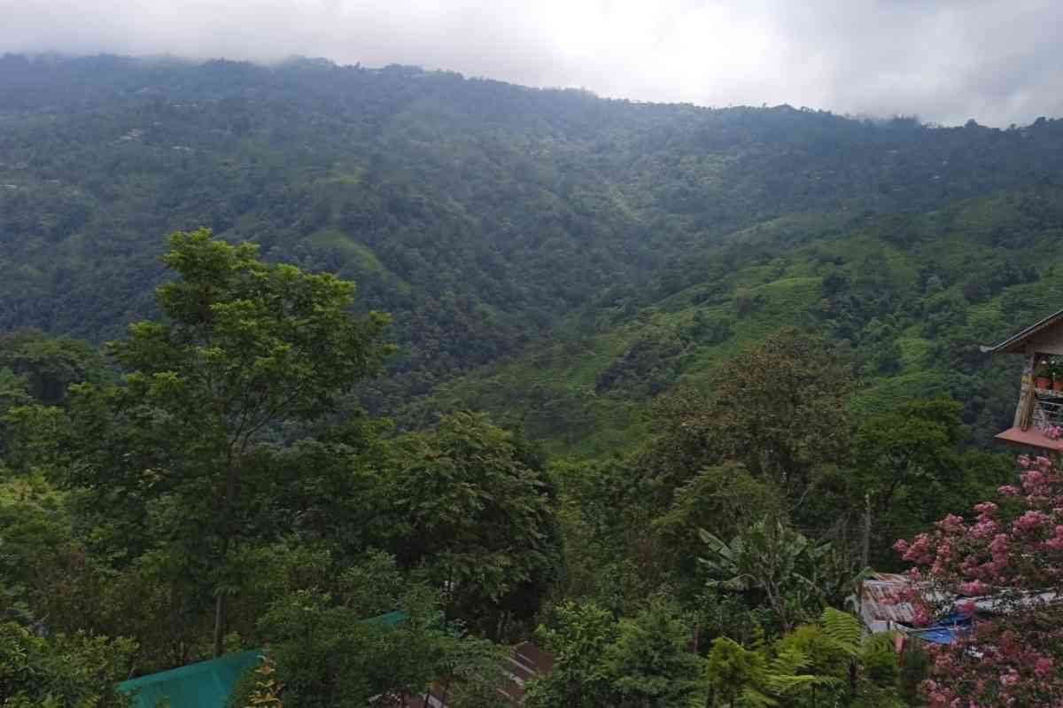 Koko Mhendo Homestay - Tabakoshi (Mirik)