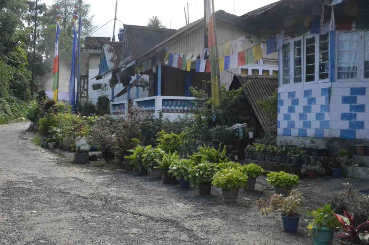 Green View Homestay - Dalgoan (Jaldhaka)