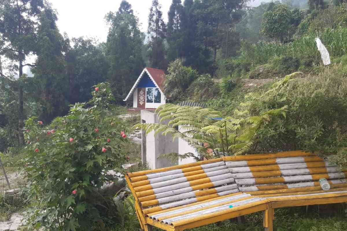 Tree House Homestay - Sittong