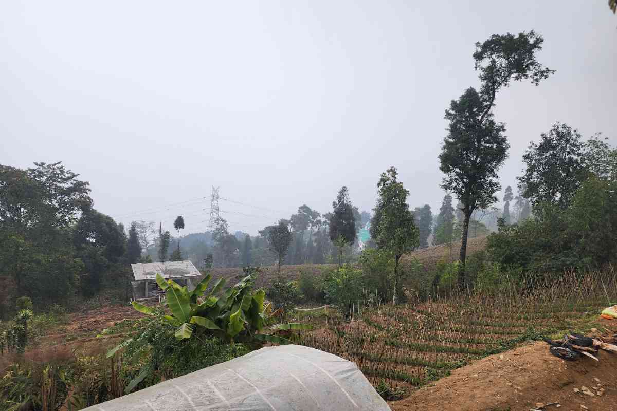 Zimkhang Homestay - Temi