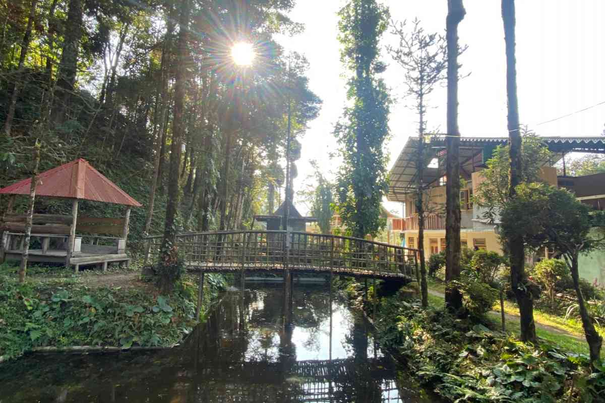 Bloom Field Homestay and Farmstay - Darjeeling