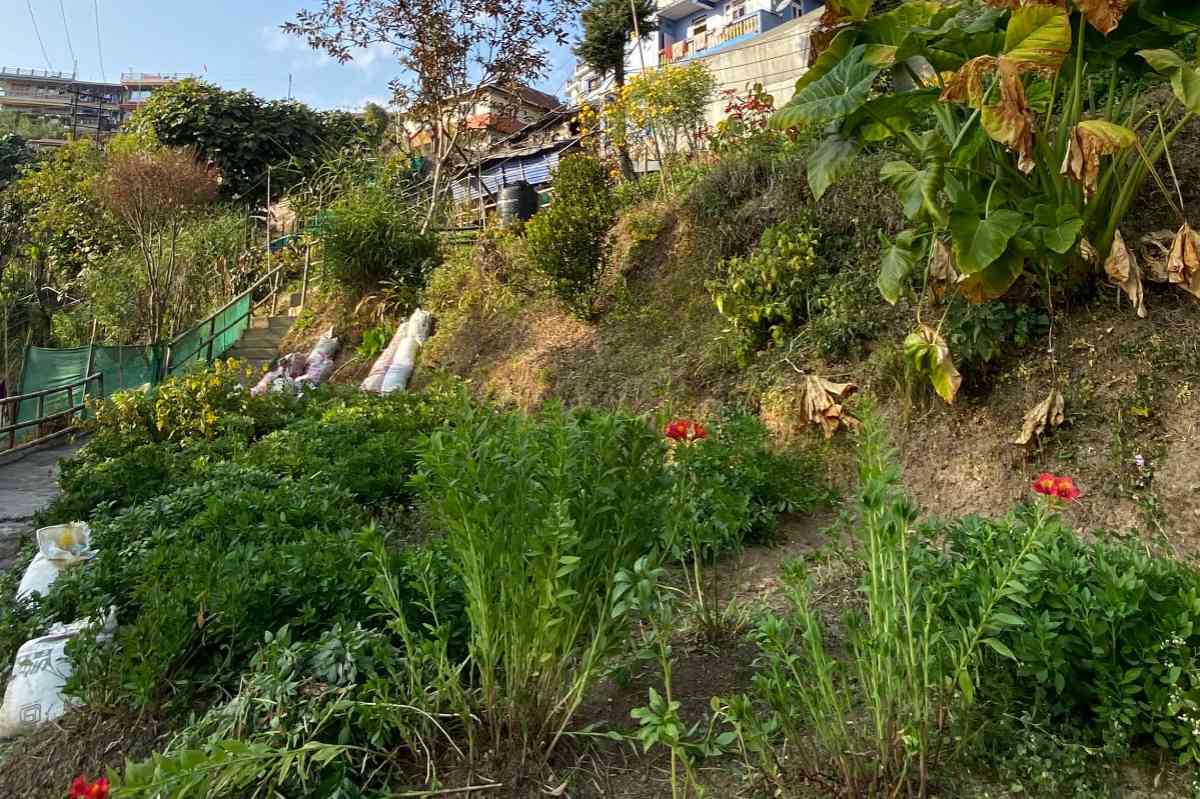 Ghalay's Countryside Farmstay - Darjeeling