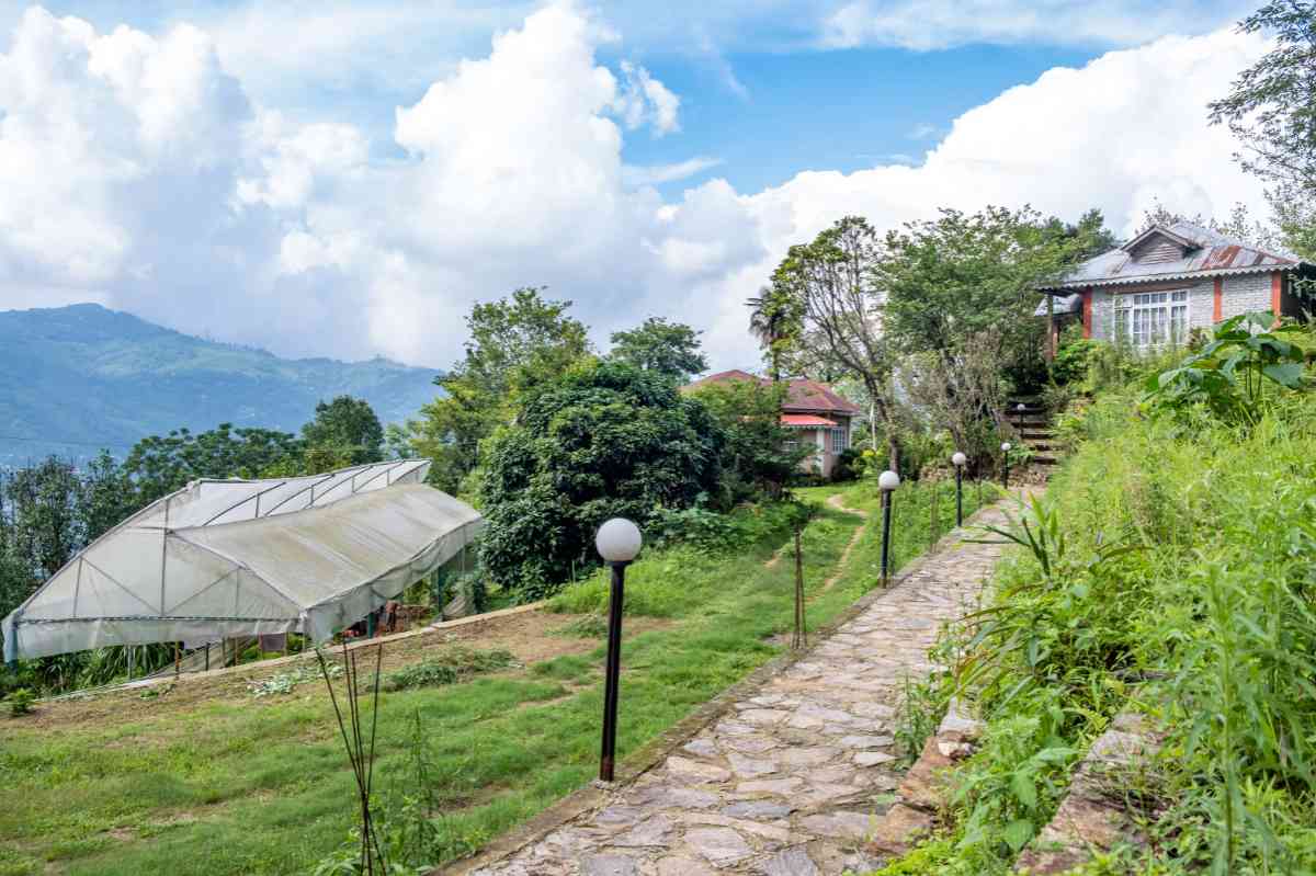 Rodhi Ghar Homestay - Mirik