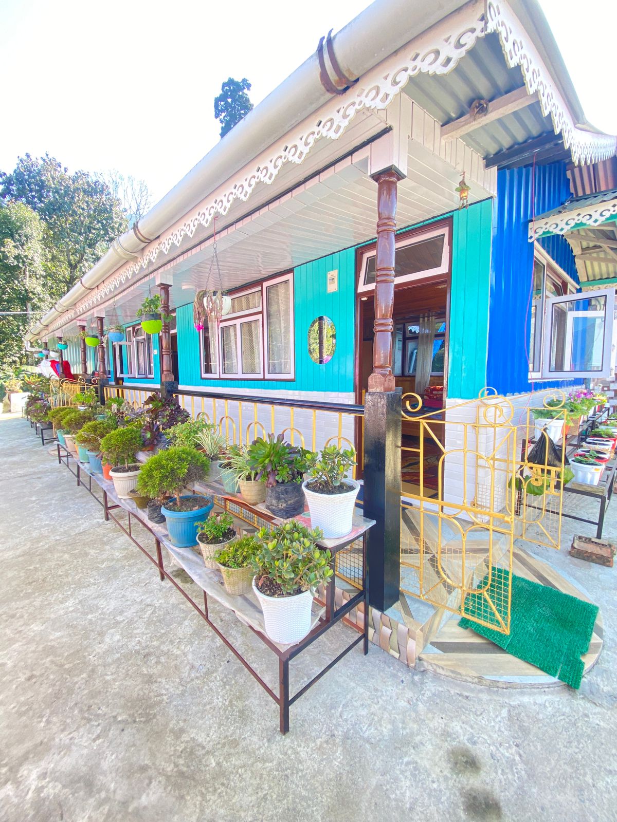 Kanchenjunga View Homestay - Mim Tea Garden