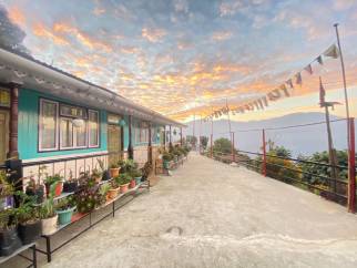 Kanchenjunga View Homestay - Mim Tea Garden